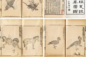 流观《山海图》：《山海经》图像传播简史图片