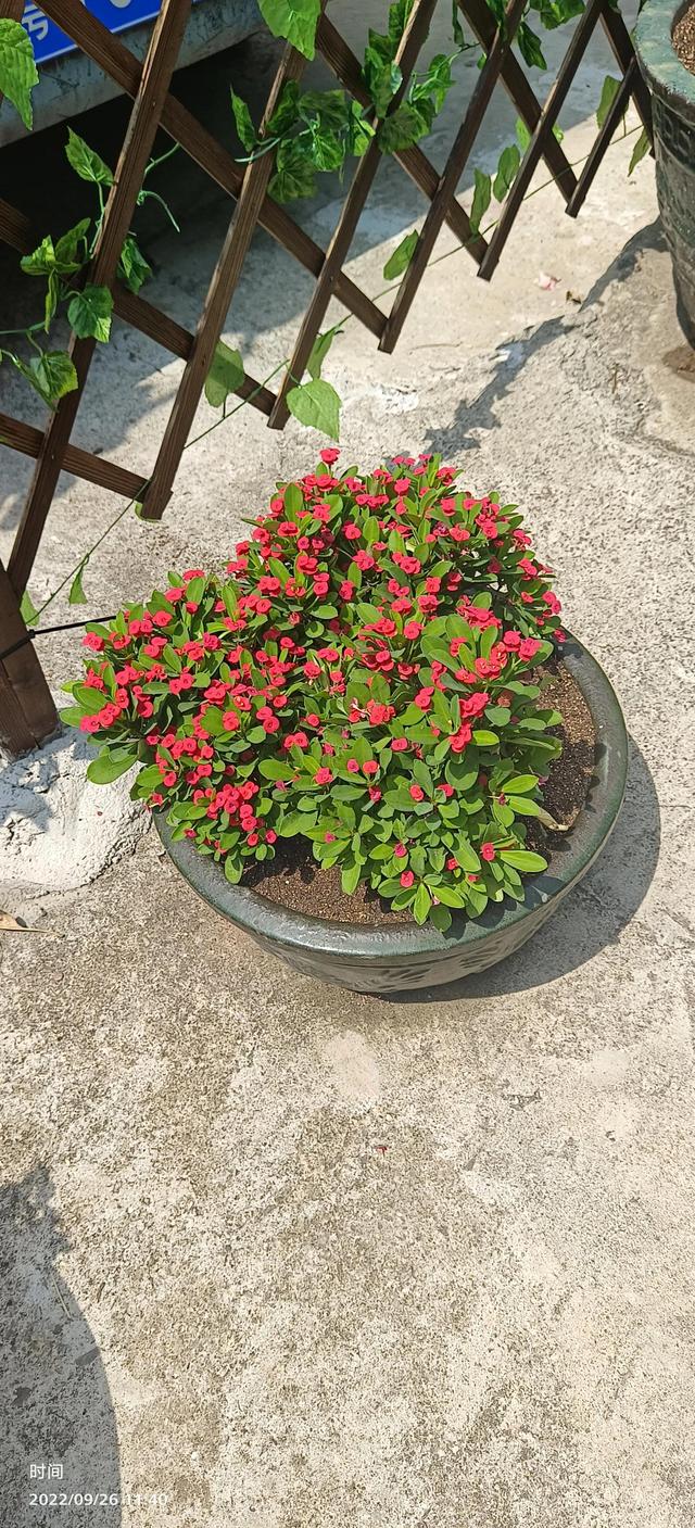 ��һ�죺����ģʽ��������չ̼�ջ�ģʽ�����԰