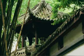 夏日之诗，午睡之趣图片