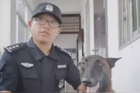 警犬去参加比赛却偷偷谈恋爱，怀着6个娃竟拿了第一，卷死狗了！图片