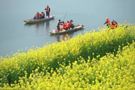 春天，最美油菜花图片