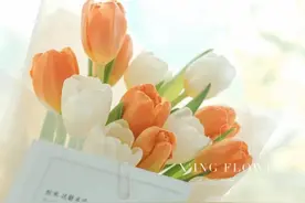 致4月：相信一定会有好事发生图片