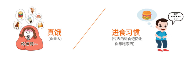 轻松享SO产品好不好 轻松享so直销品牌