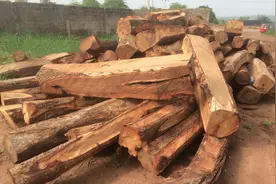 这几种“红木”原来是假货？可别被骗了图片