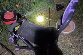 好危险！浙江男子夜钓遇剧毒银环蛇！为中国最毒的蛇，毒性有多猛图片