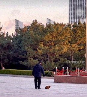 鸡皮疙瘩和眼泪