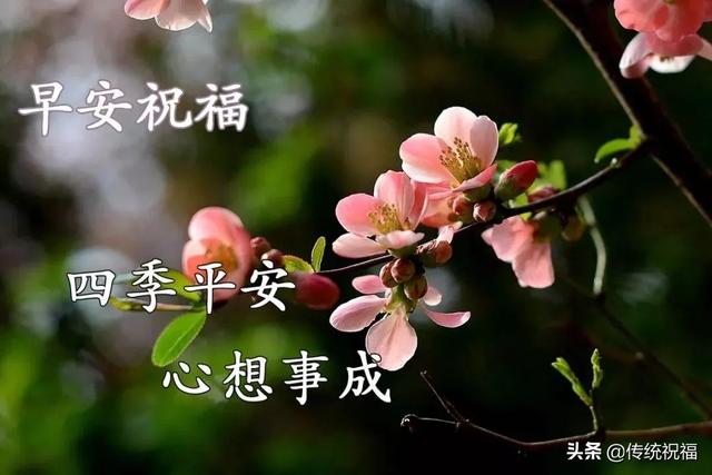 早上好表情精选，天地有情人间有爱，互相牵挂健康同行
