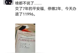 对不起，保护费我不交了图片