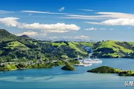 海参的营养价值到底有多高？说出我的经历，也许和你想的不一样图片