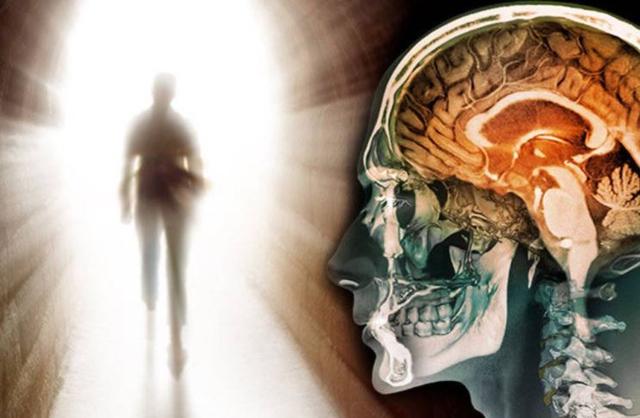 人“死后”会经历怎样的过程？科学家：“生前”的这个指标很关键