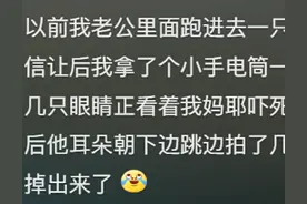 虫子进耳朵里怎么办？网友的神操作，让人目瞪口呆图片