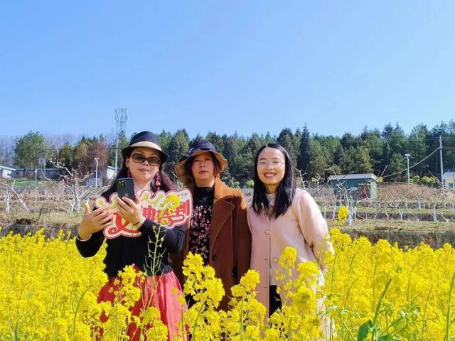 四川省民生研究会新媒体中心-官网