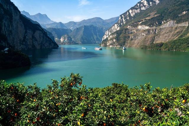 中国吃橙子地图