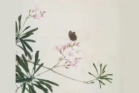 诗词丨白茶清欢无别事，我在等风也等你图片