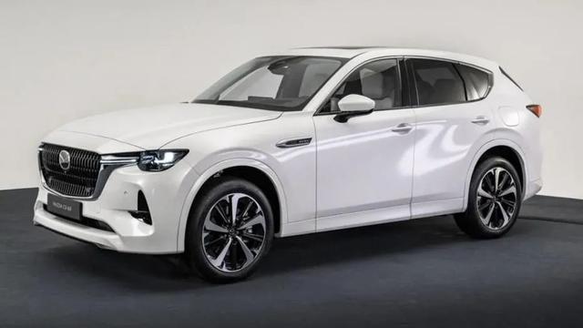 6ף2022ԴﻹȼͳȫCX-60