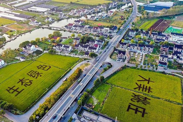 �ظ����� | �ڶ��조�����Ƴǡ��й����ơ�ȫ����Ӱ��Ʒչ