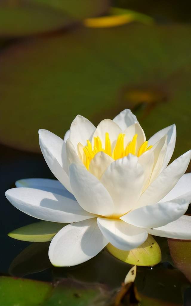 四川省民生研究会新媒体中心-官网