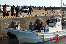 81岁男子将妻子推入海中：照料她40年，“我真的累了”图片