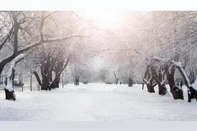 人生顺其自然，一切都是最好的安排图片