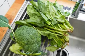 月销几千的东菱果蔬清洗机真的好用吗？自用一年真实经验分享图片