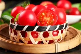 番茄使用激素可提高坐果率，但激素不同使用方法也异，您知道吗？图片