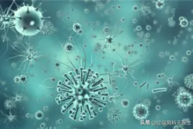 肛周瘙痒，湿疹反复发作怎么办？医生：做好这三点肛门瘙痒不复发图片