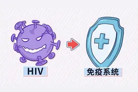 艾滋病为什么会导致人体免疫功能低下？怎么预防？图片