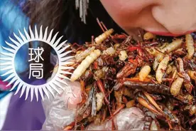 勇敢者的游戏：惊蛰吃虫 | 地球知识局图片