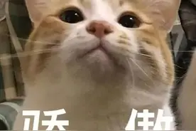 香港一年制硕士好不好就业？含金量高吗？图片
