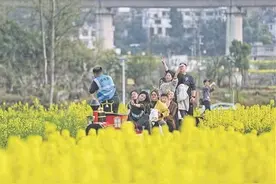 观山湖区朱昌镇：“花田火锅”烹热“春日经济”图片