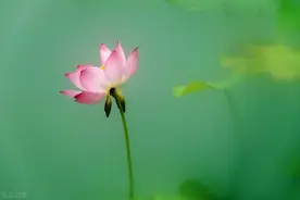 人老了，要学会闭嘴，是一种远见图片