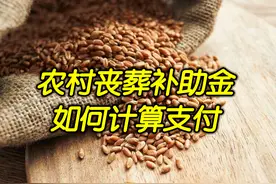 农村丧葬补助金：五保、低保户去世后安葬费是多少？如何支付？图片