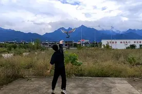 美国吹的牛，被中国先实现！西工大仿生飞行器亮相，刷新世界记录图片