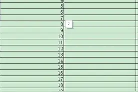 赛效：WPS表格怎么自动生成1234序号并自动排列图片
