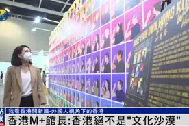 香港M+馆长：香港绝不是“文化沙漠”，而是很丰富图片