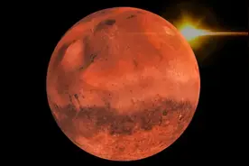 火星探索终有成果，美国2008年拍摄的火星照片上，发现了“大树”图片