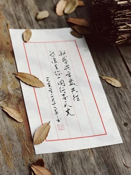 散文：人生过半，学会静而不争，淡然从容