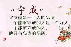 垃圾袋的故事图片