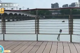 曾经“野泳”热门地南京百家湖已无人野泳 沿湖岸线架起护栏图片