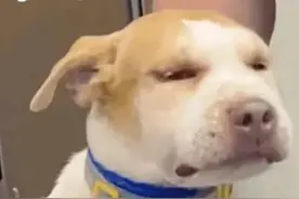 年纪大了，不中用了‖表情包图片