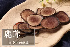 鹿茸（补阳药）图片