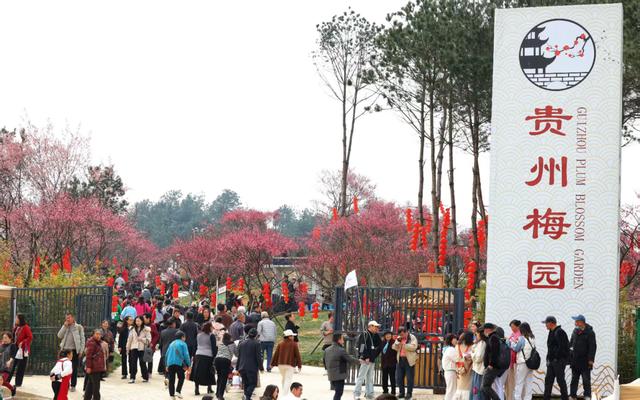 焕新待放！贵州梅园1月24日开园