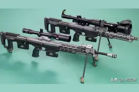 一击致命—浅谈AMP DSR-1高精度狙击步枪图片