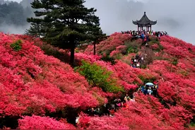 麻城市概况图片