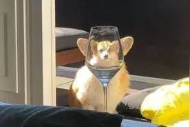 如何在日常相处中，做一个让其他人都觉得你很有趣的人？图片