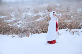致敬经典-2002年的第一场雪图片