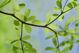 人生无常，除了让我们坚强，也让我们欣赏到了不同的人生风景图片