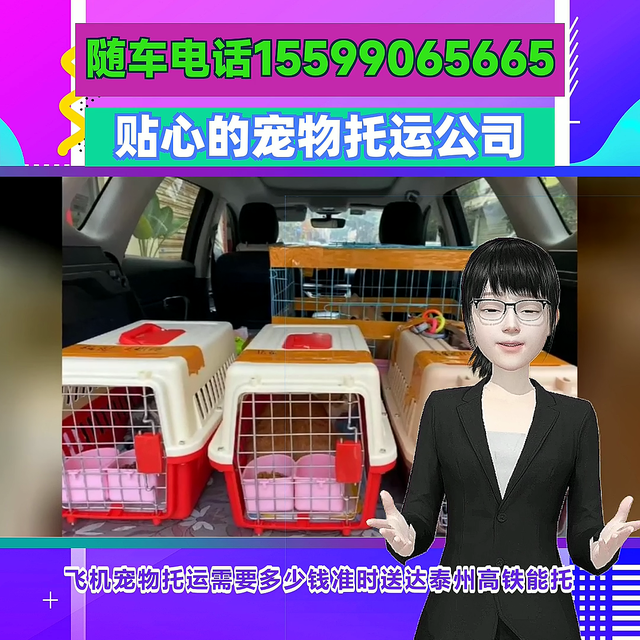 泰州宠物托运价目表=泰州宠物托运托运规则=泰州飞机宠物...