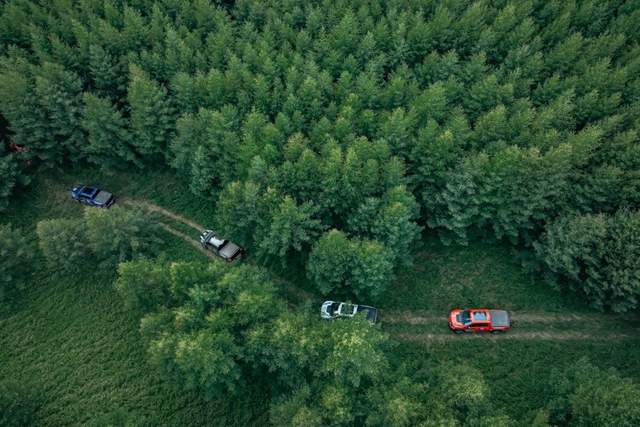 全新一代福特F-150猛禽 野起来有多爽