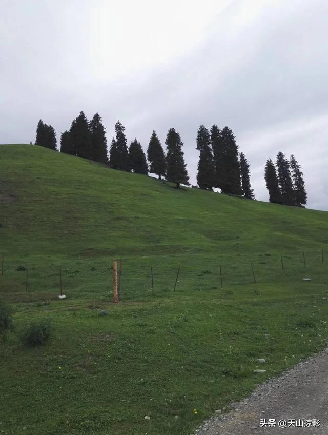 一万泉美景